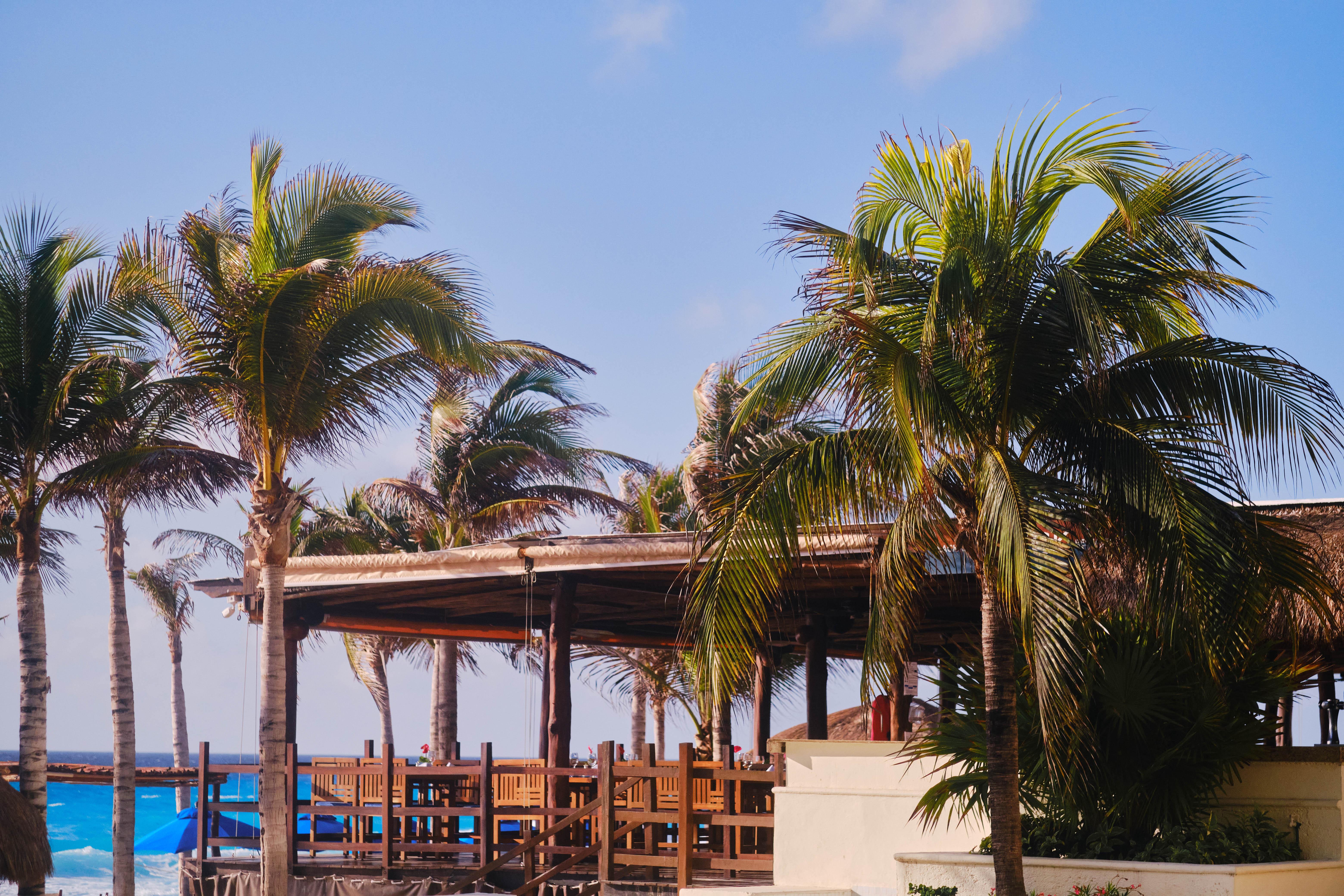 Hotel Nyx Cancún Dış mekan fotoğraf